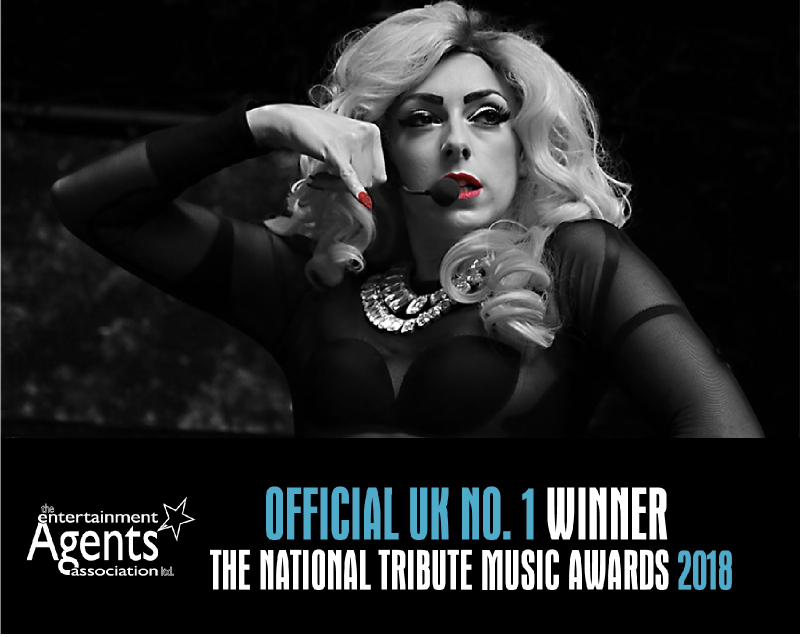 Official UK Winner of The National Tribute Music Awards 2018